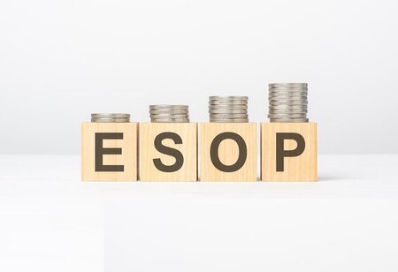 Rebel Foods Grants Rs 170 Crore ESOPs to Five Co Founders